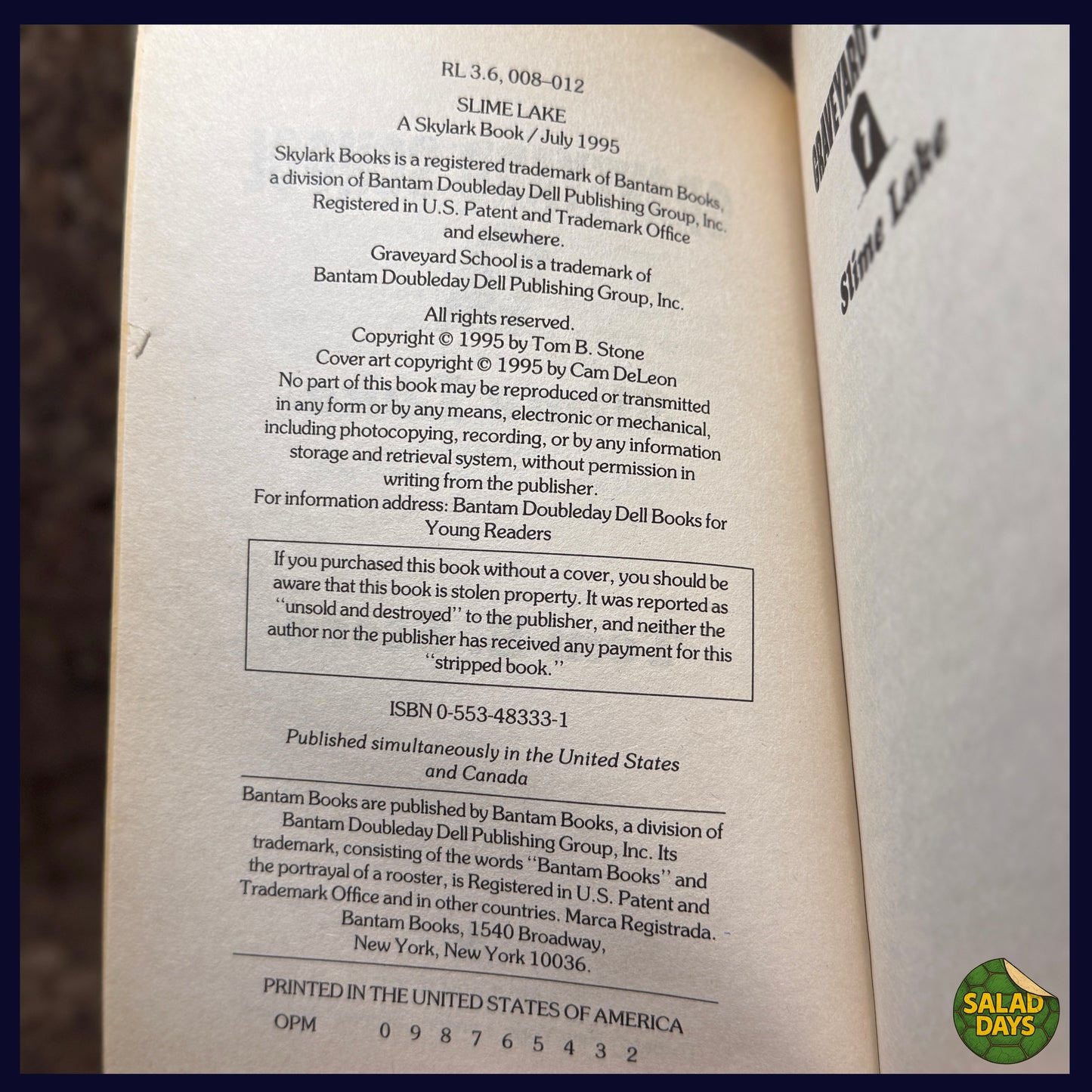 Graveyard School -Tom B. Stone- Slime Lake Book