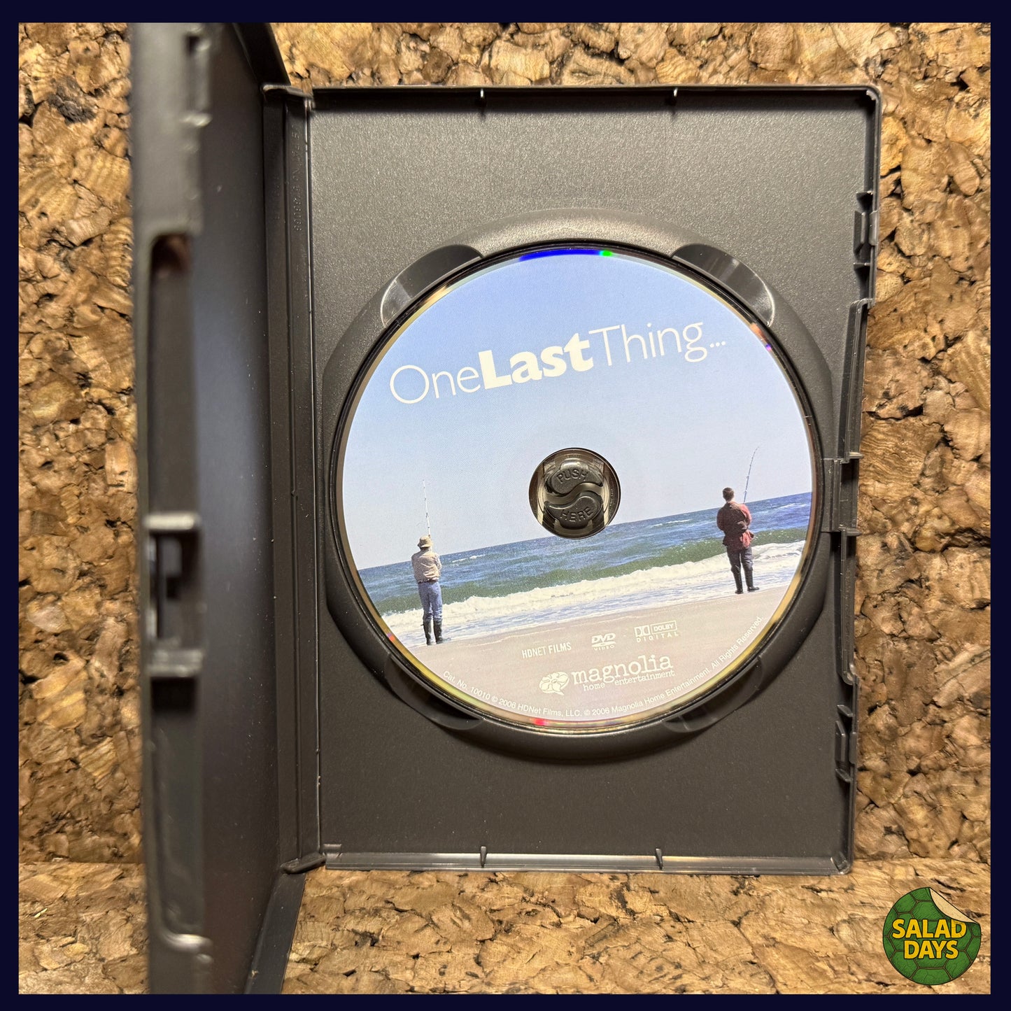 One Last Thing -DVD- Cynthia Nixon