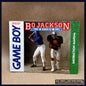 Bo Jackson: Two Games In One -Nintendo GameBoy- Manual