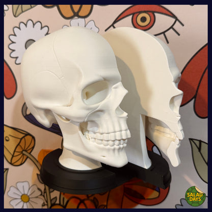 Skull -Bookend-