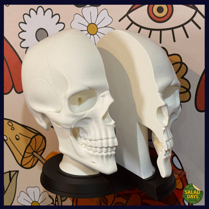 Skull -Bookend-