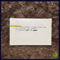 Gallimaufry -Cassette Tape- Various Artists Demo