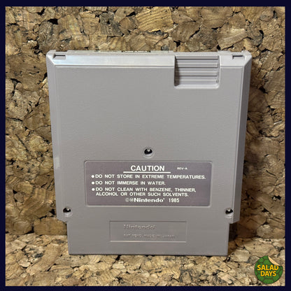 Carmen Sandiego -Nintendo- Where In The World Is