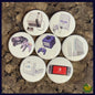 Nintendo Days -1" Buttons- 7 Pack