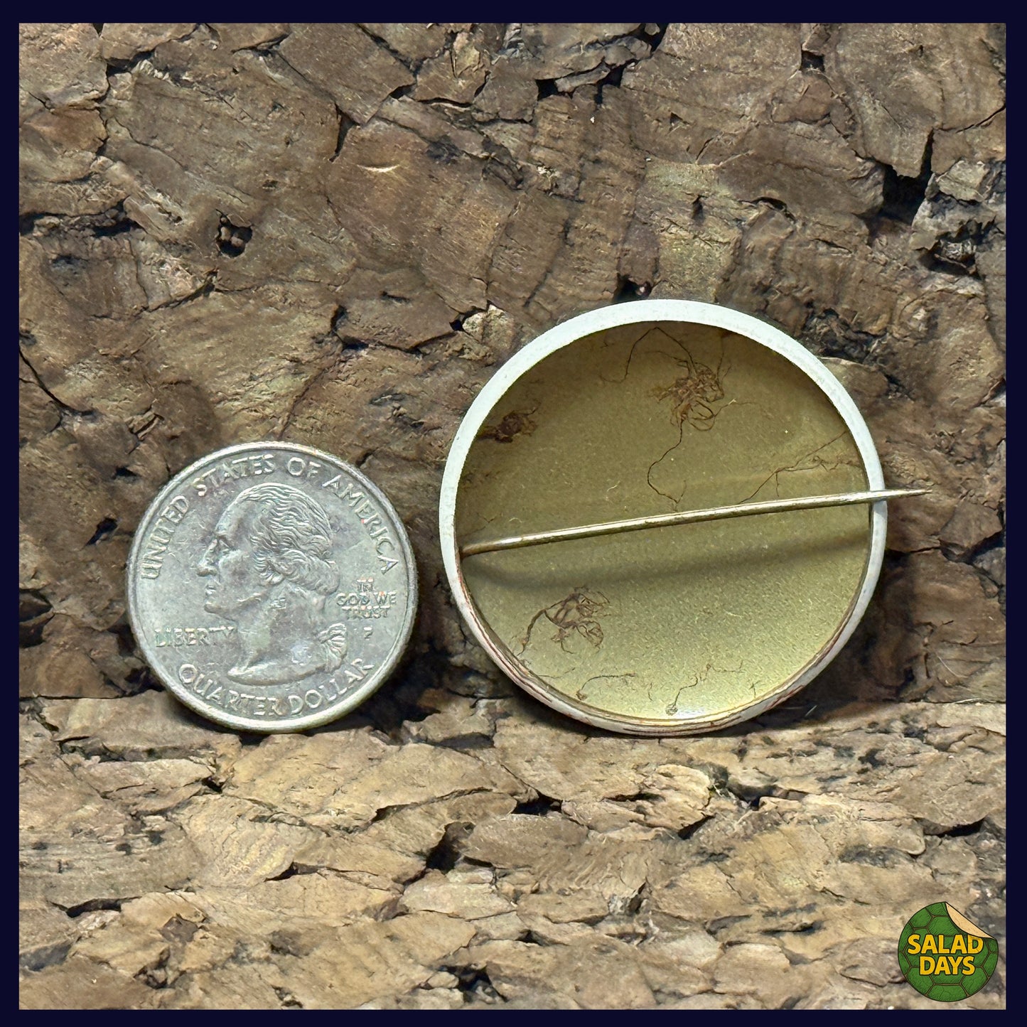 Nixon's The One -Vintage Campaign Button-