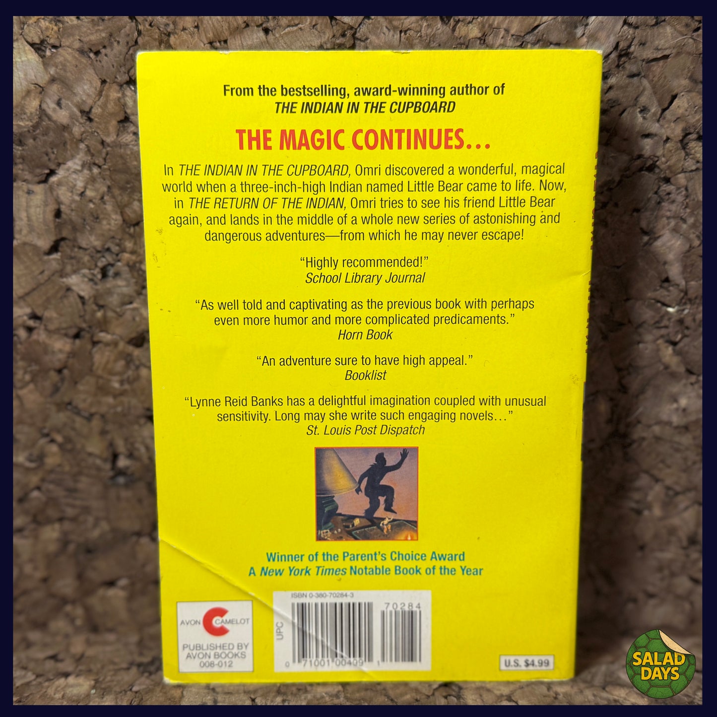 Return of the Indian -Lynne Reid Banks- Scholastic Book