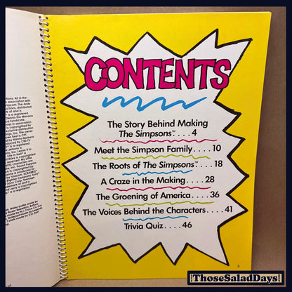 The Simpsons -Simpson's Mania- History of TV's First Family Book