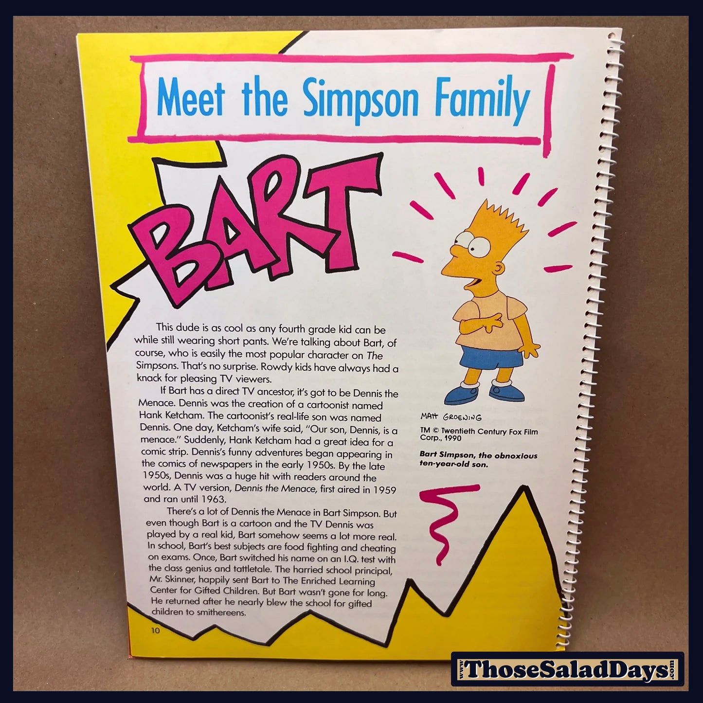 The Simpsons -Simpson's Mania- History of TV's First Family Book