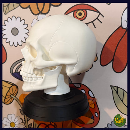 Skull -Statue-