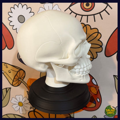 Skull -Statue-