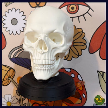 Skull -Statue-